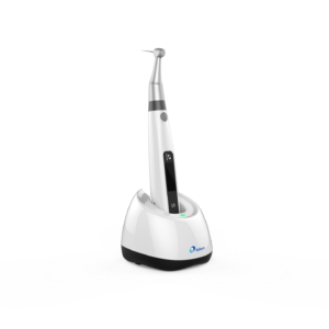 Endodontija
